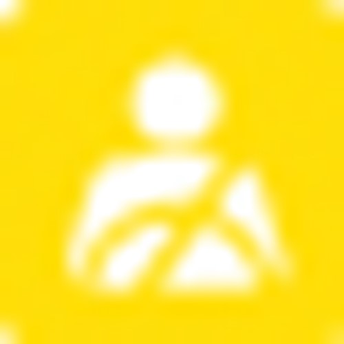 Adult Occupant Protection