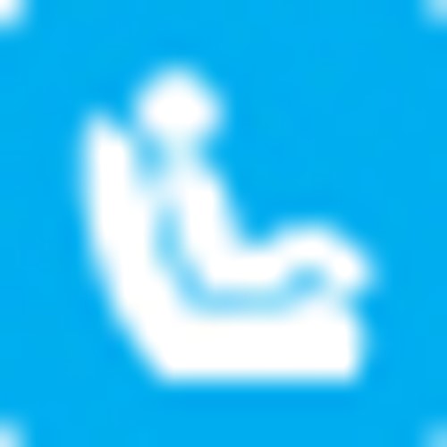 Child Occupant Protection