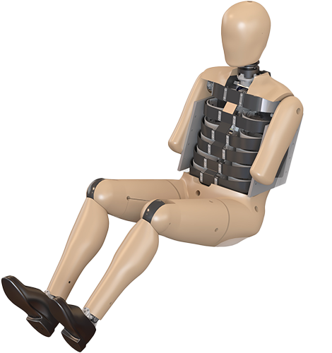 WorldSID 50<sup>th</sup> Percentile Male