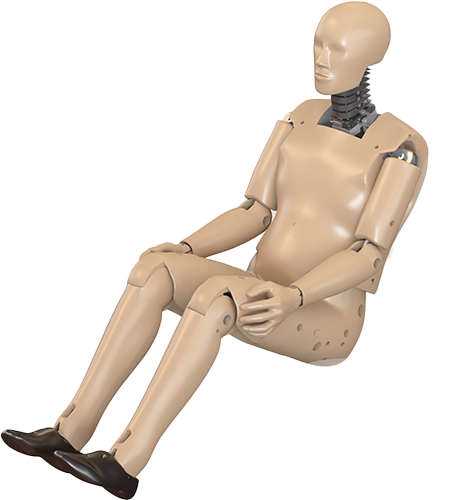 BioRID UN 50th Percentile Male